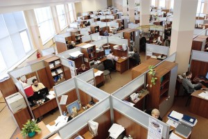 employee spread in office