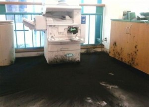 toner health hazard