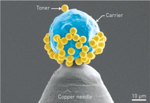 toner particle