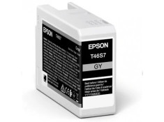 Epson 46S Grey