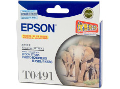 Epson T0491