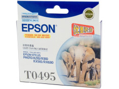 Epson T0495